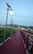 太陽能庭院燈具有哪些作
